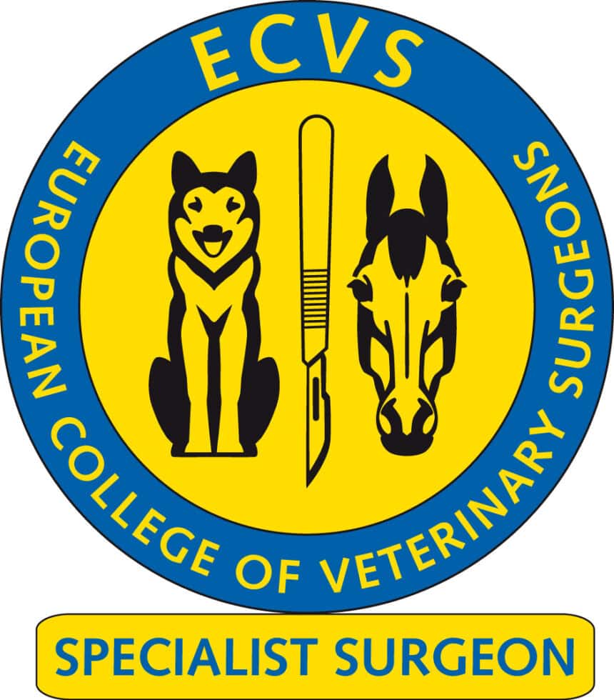 ECVS Specialist Surgeon